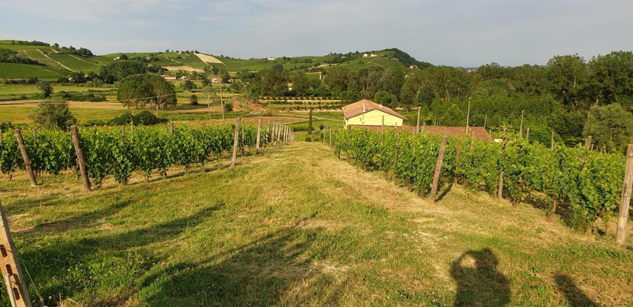 Villa Vigneto San Marzano Oliveto Buitenkant foto