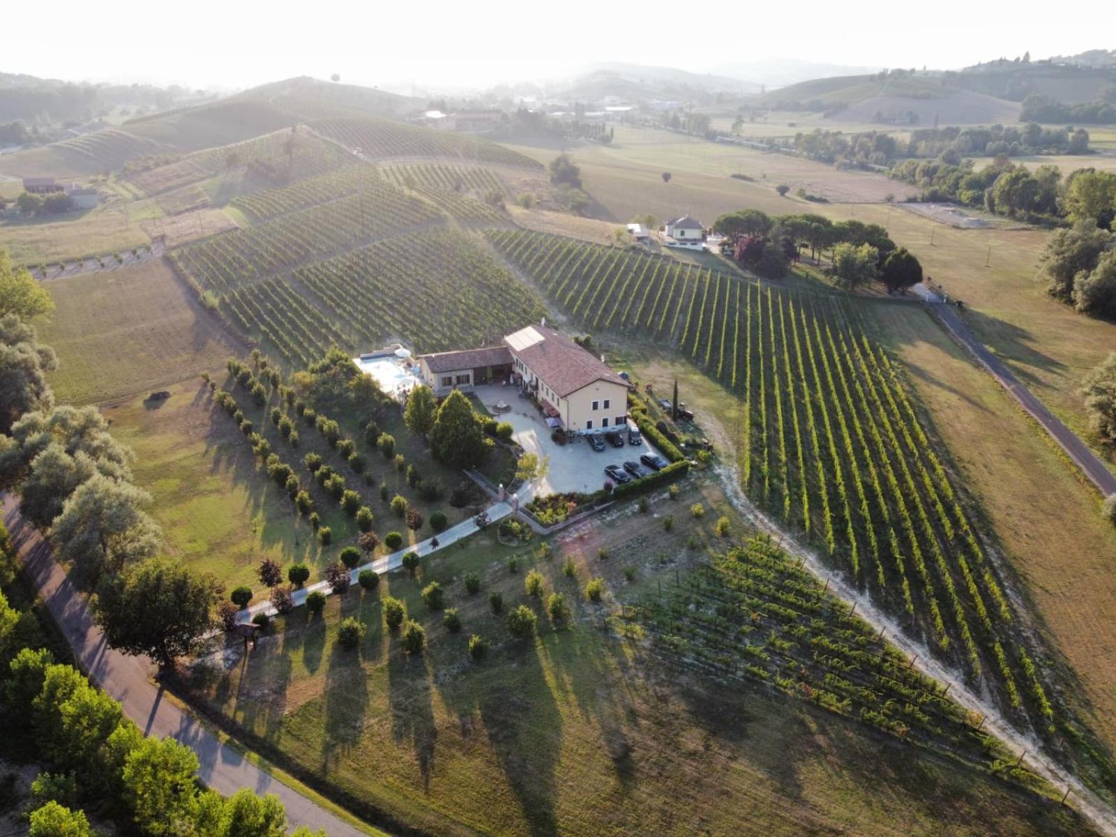 Villa Vigneto San Marzano Oliveto Buitenkant foto